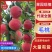 【精选】毛桃美脆光战4号口感脆甜品种齐全代发全国