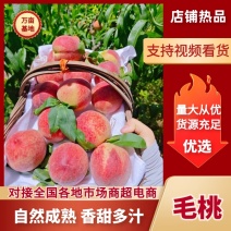 毛桃（红不软突围春雪）产地直发个大味甜品质好