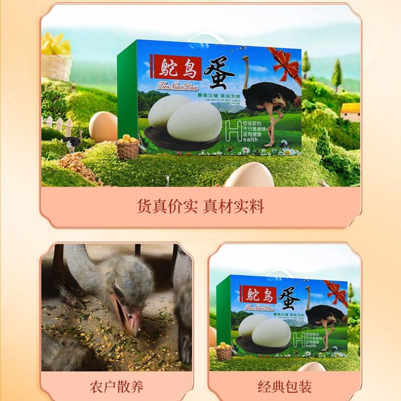 新鲜食用超大鸵鸟蛋营养蛋非洲鸵鸟食用蛋节日土豪送礼物工艺品