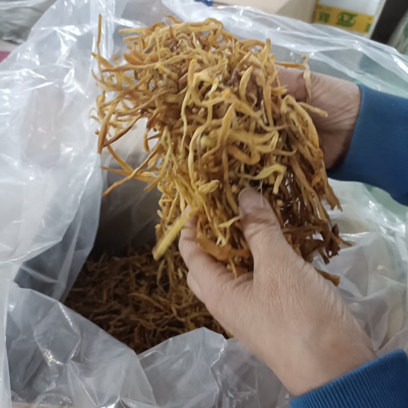 东北纯野生黄花菜菌香味十足自然嗮干炖汤炒菜