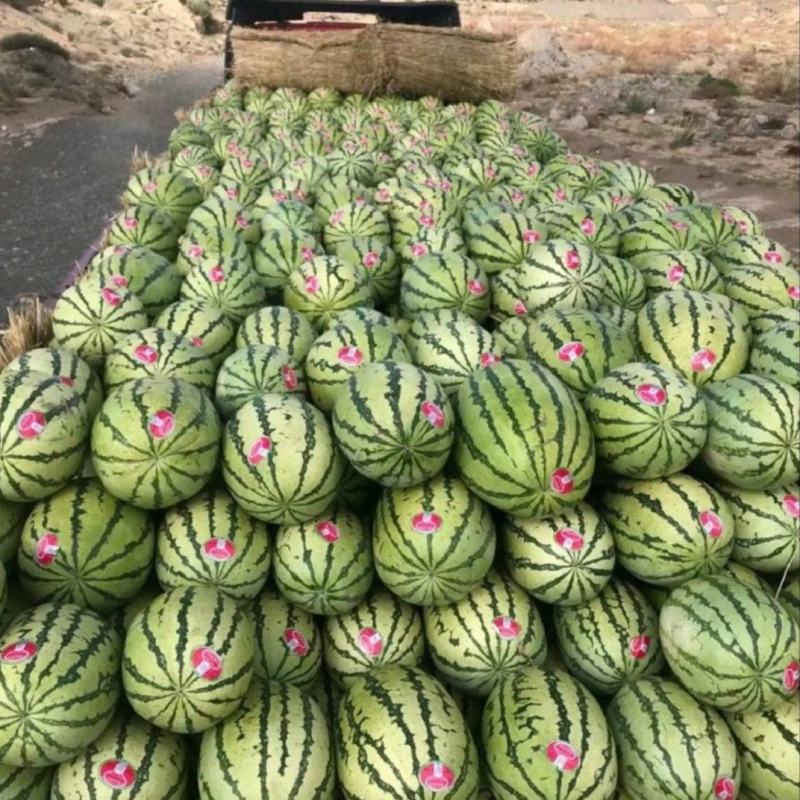 【推荐】宁夏西瓜金城5号西瓜代办包熟包甜耐运输量大从优