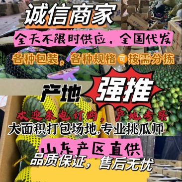 全美2K小吊瓜，小糖丸手掰西瓜，冰糖籽西瓜，小爆瓜