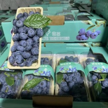 蓝莓串果