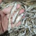 油炸不开肚白肖/干货/鱼干/水库鱼/不苦/纯野生/包邮