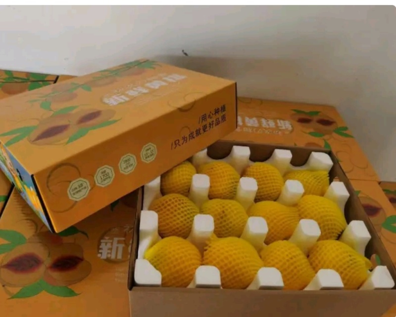 精品黄桃黄金蜜满口香甜市场商超，承接出口外贸订单诚信