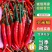 【实力推荐】小米椒辣椒大量上市常年有货量大从优欢迎咨询