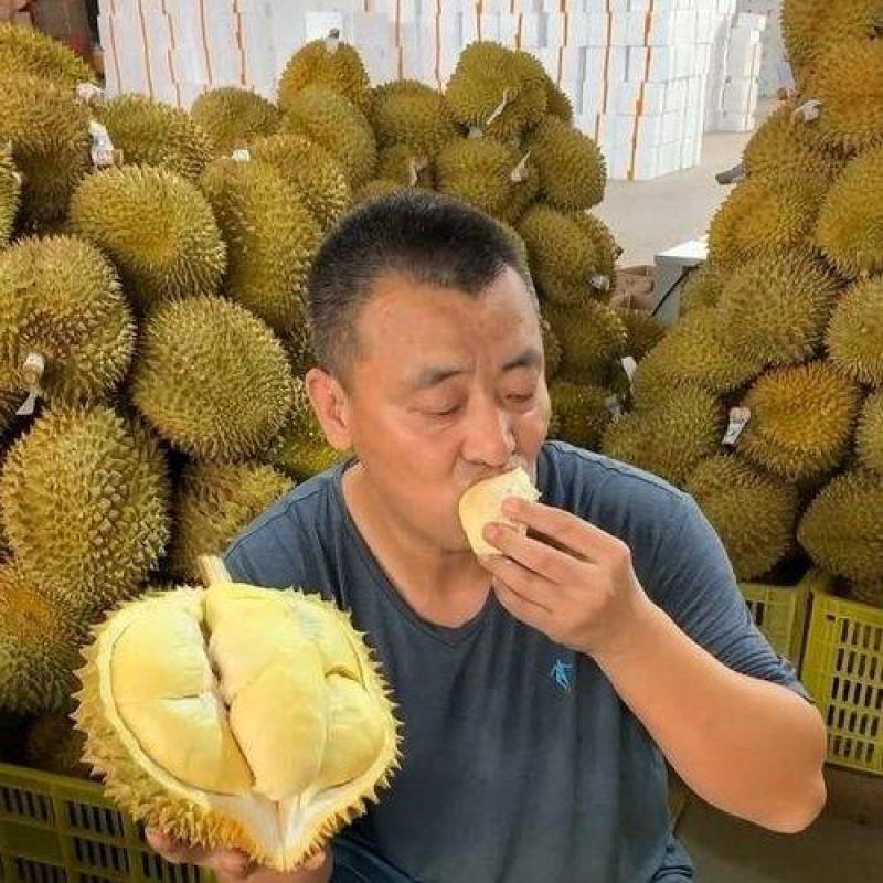金枕榴莲产地直销一手价格，A果保5房坏果包赔，货到付款