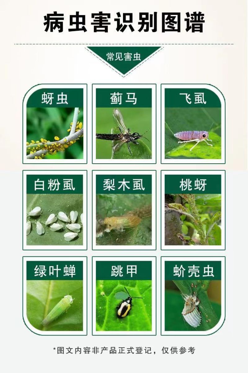 呋虫胺杀虫剂水稻专用稻飞虱白粉虱蚜虫果树蔬菜花卉卫生用药