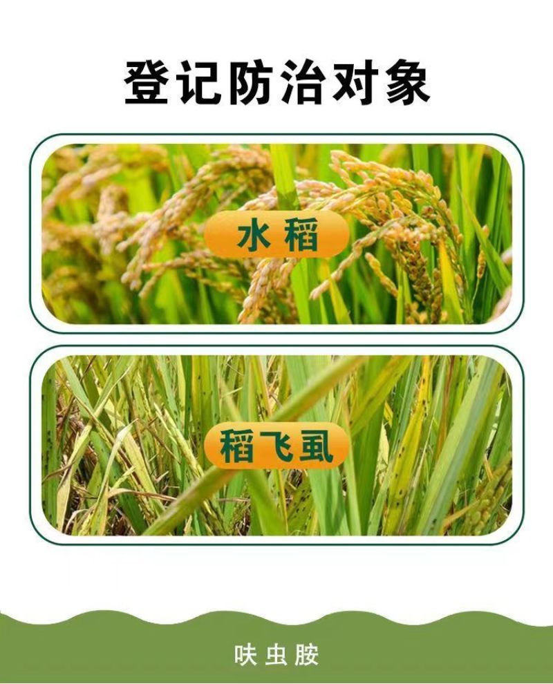 呋虫胺杀虫剂水稻专用稻飞虱白粉虱蚜虫果树蔬菜花卉卫生用药
