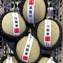 百万亩鲁厚甜玫珑蜜瓜网纹瓜大量上市欢迎老板前
