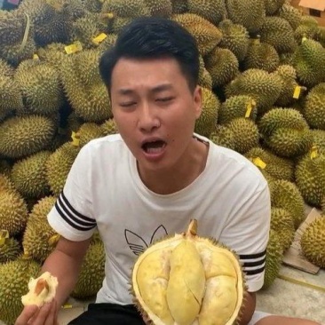 金枕榴莲产地直销一手价格，A果保5房坏果包赔，货到付款