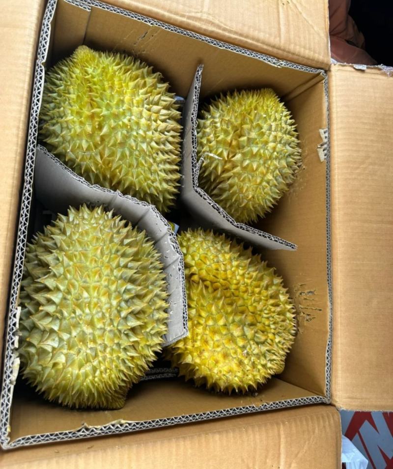 金枕榴莲产地直销一手价格，A果保5房坏果包赔，货到付款