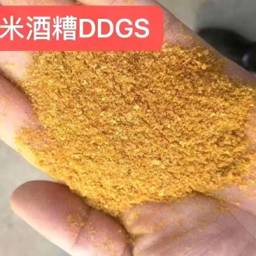 玉米酒糟DDGS，蛋白27左右，脂肪8左右，全国发货。