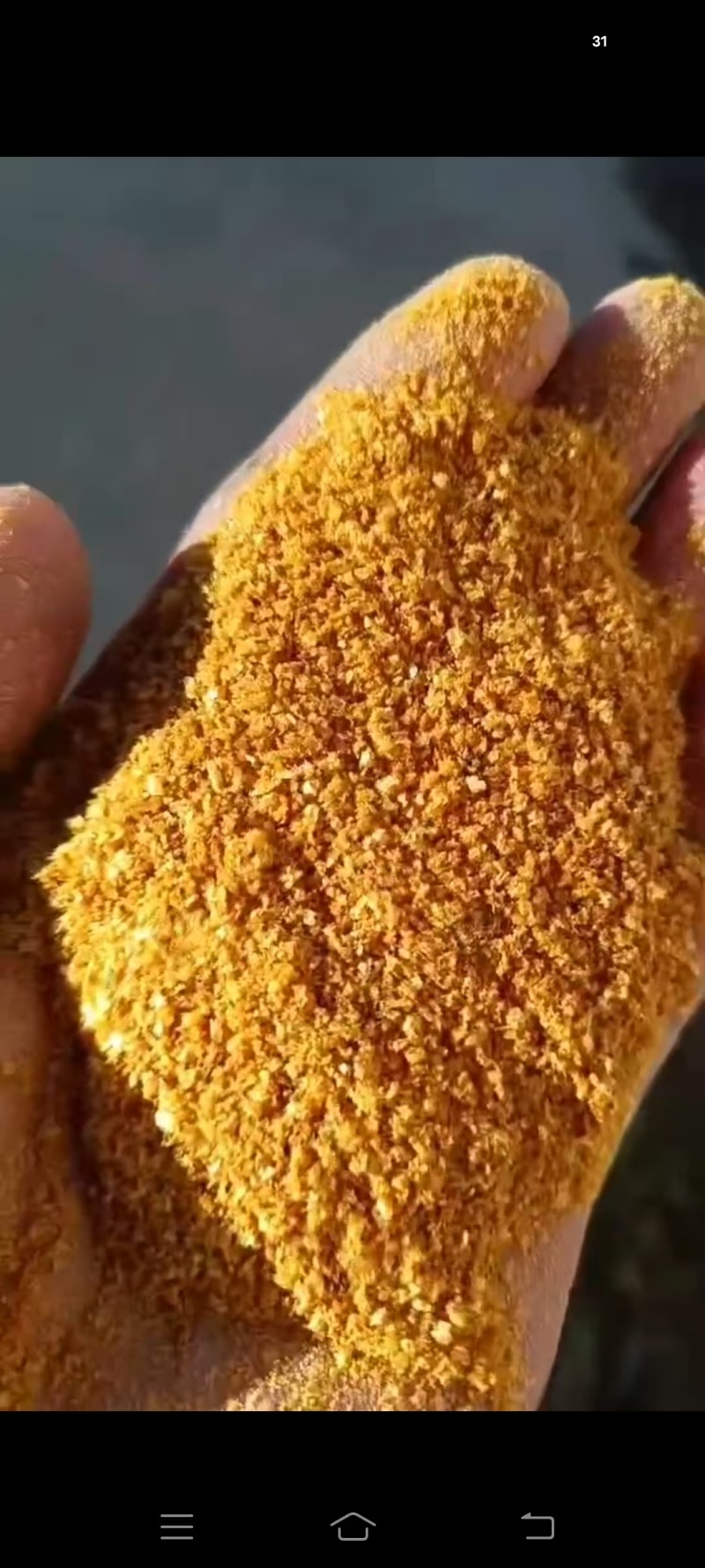 玉米酒糟DDGS，蛋白27左右，脂肪8左右，全国发货。