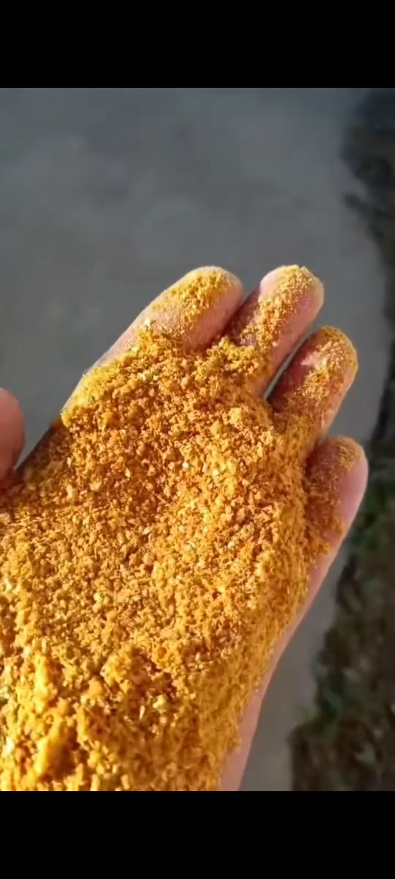 玉米酒糟DDGS，蛋白27左右，脂肪8左右，全国发货。