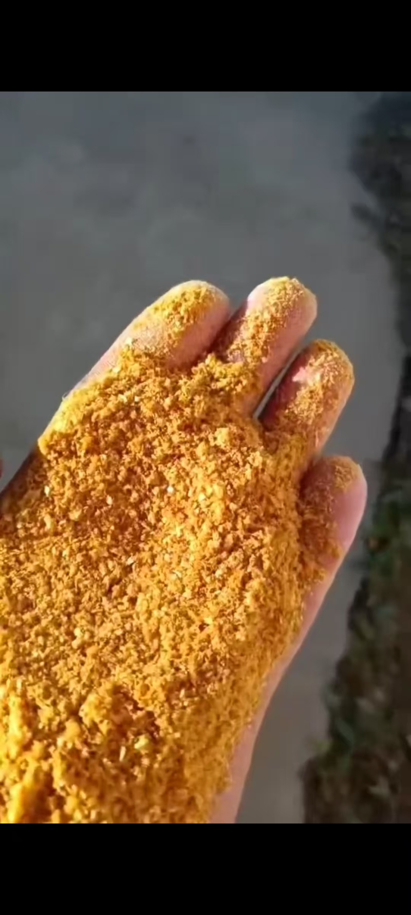 玉米酒糟DDGS，蛋白27左右，脂肪8左右，全国发货。