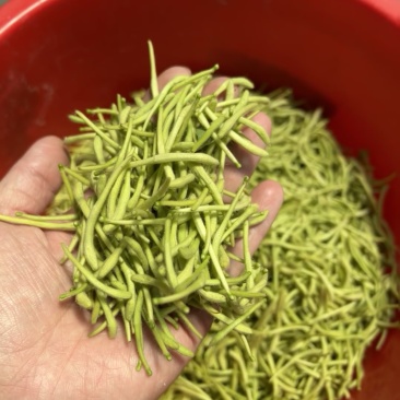 金银花中药材山东原产地直发