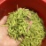 金银花中药材山东原产地直发
