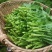 四川油菜苔，油菜心，油菜尖，一首货源，自家多个基地发货，