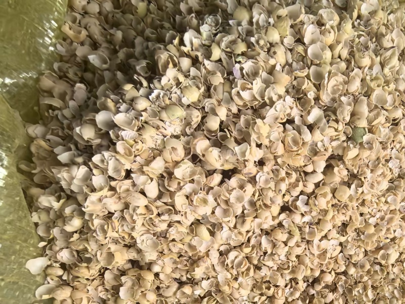 黄豆壳