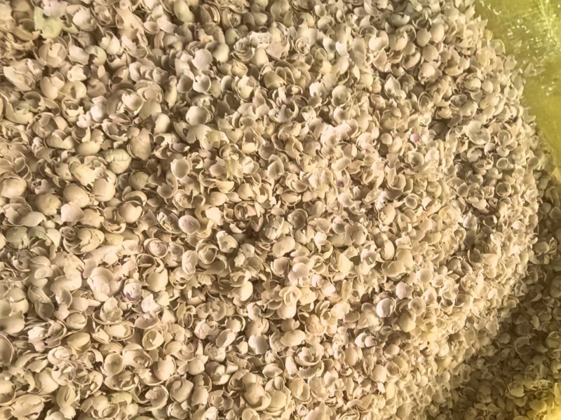 黄豆壳