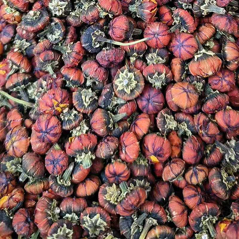 胎菊新疆昆仑雪胎菊茶泡水泡茶泡酒料新货包邮团购批发