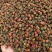 胎菊新疆昆仑雪胎菊茶泡水泡茶泡酒料新货包邮团购批发