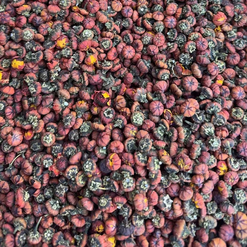 胎菊新疆昆仑雪胎菊茶泡水泡茶泡酒料新货包邮团购批发