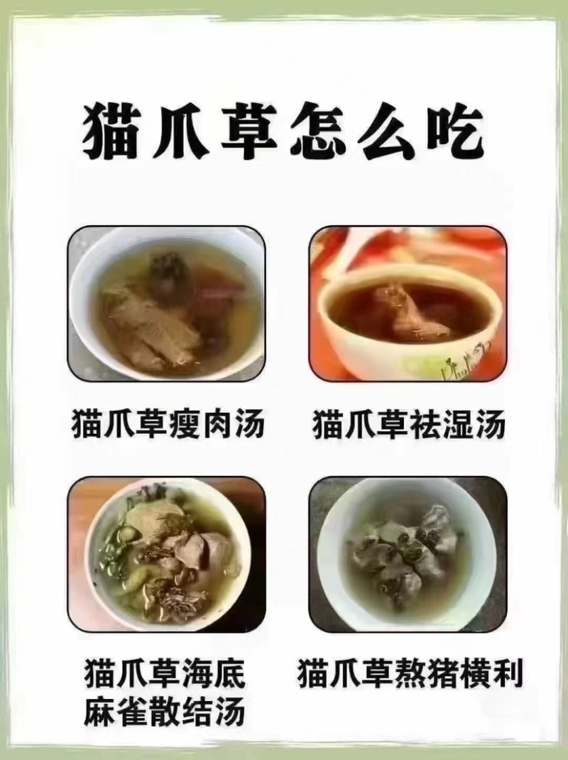野生猫爪草精品质量中药材新鲜天然正品批发价
