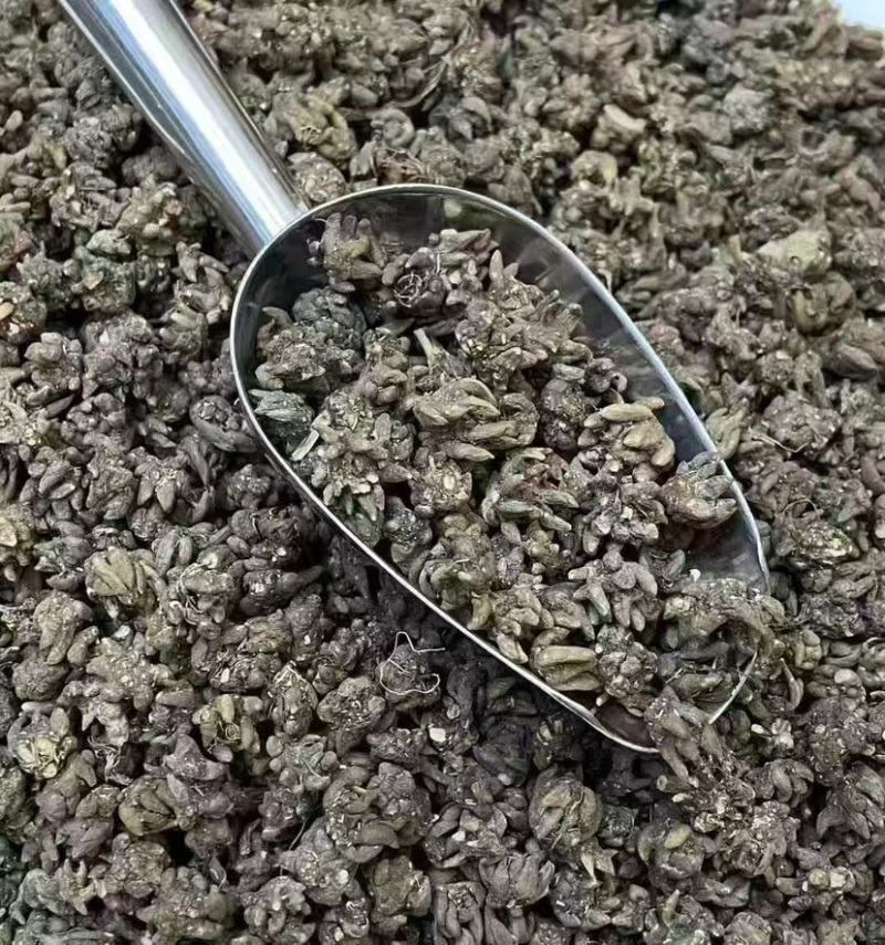 野生猫爪草精品质量中药材新鲜天然正品批发价