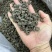 野生猫爪草精品质量中药材新鲜天然正品批发价