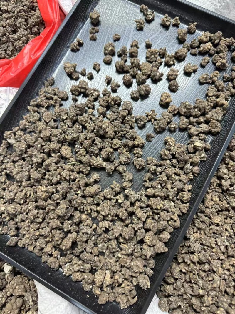 野生猫爪草精品质量中药材新鲜天然正品批发价