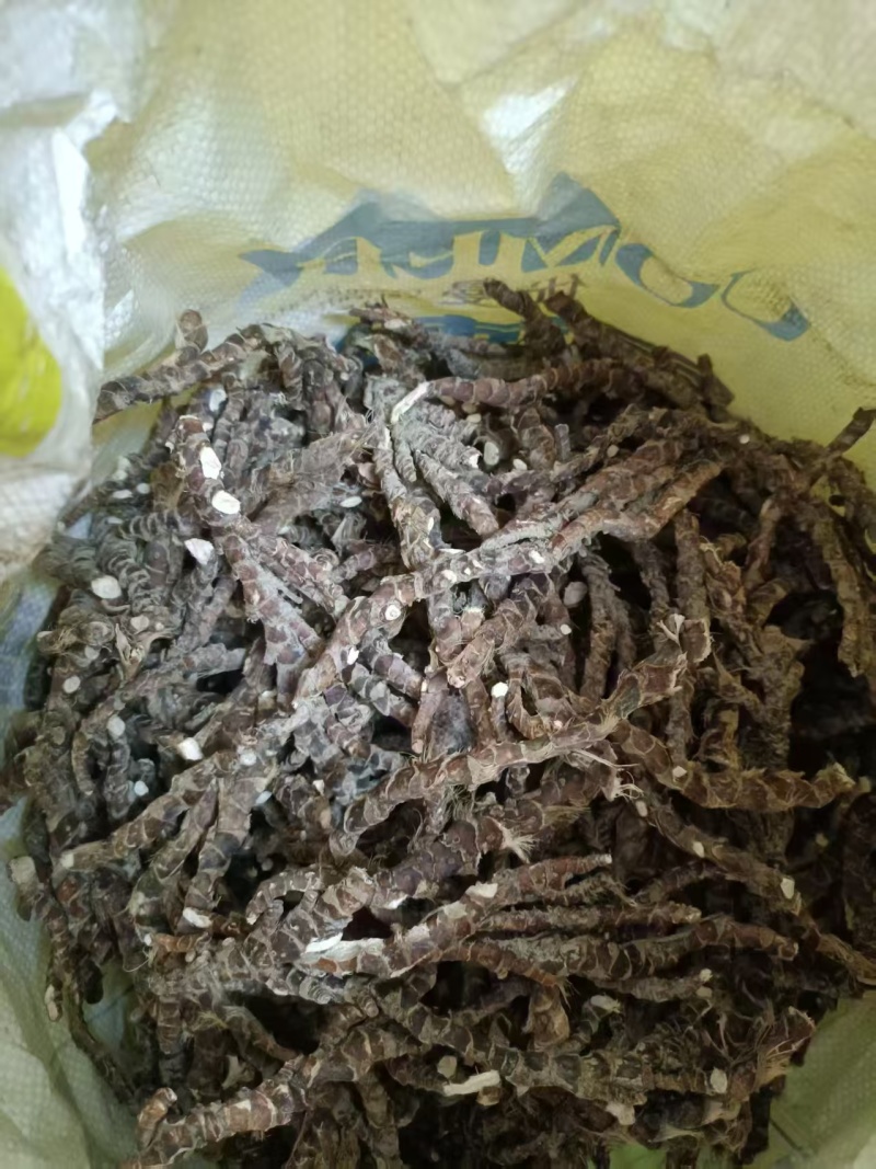 香菖蒲