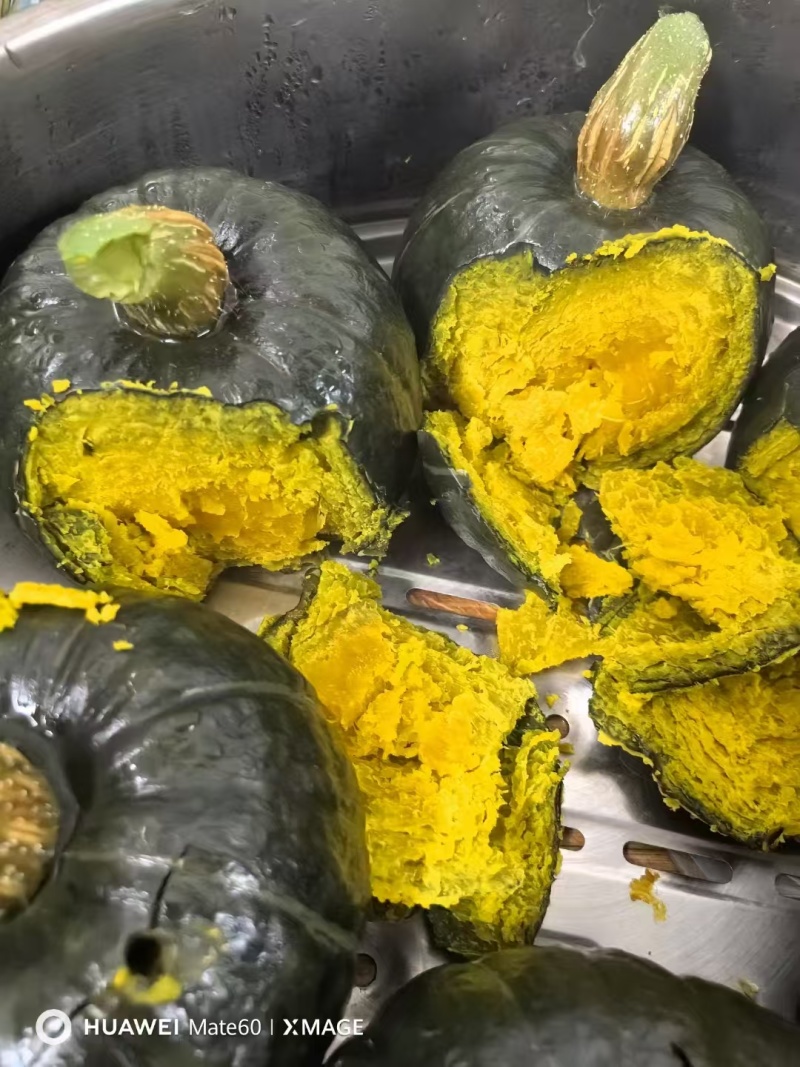 精品贝贝南瓜大量上市