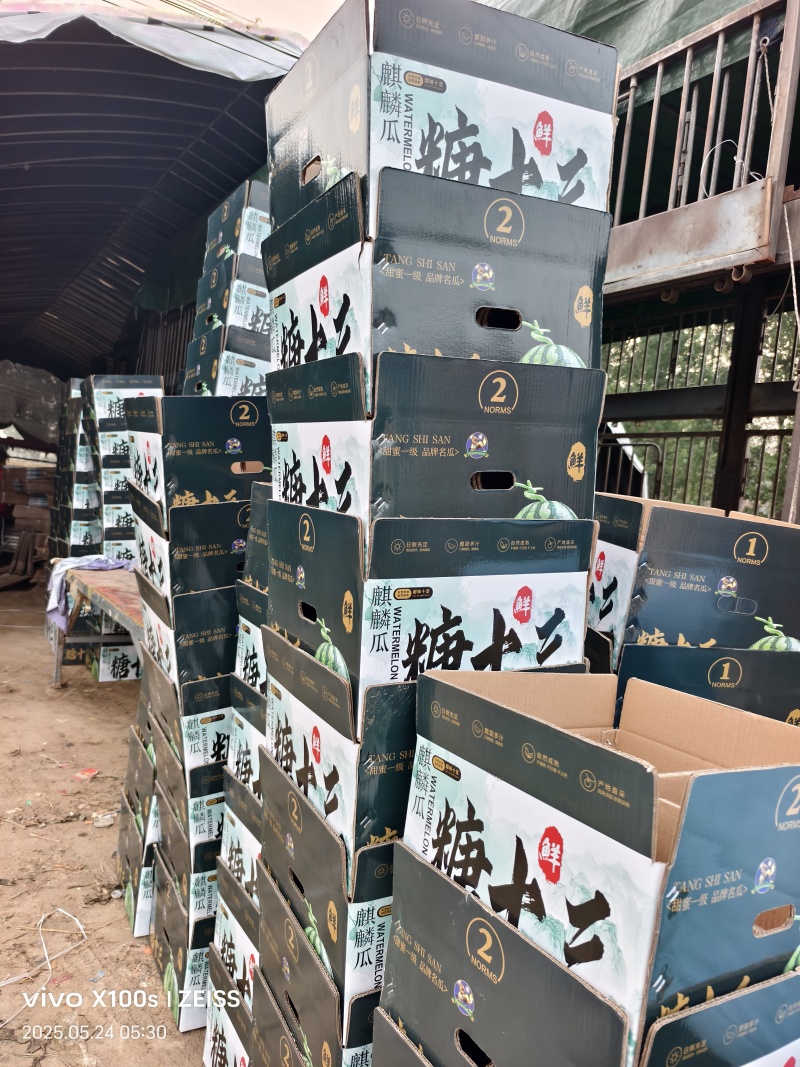 河南夏邑无籽美都大量上市！欢迎来电咨询合作