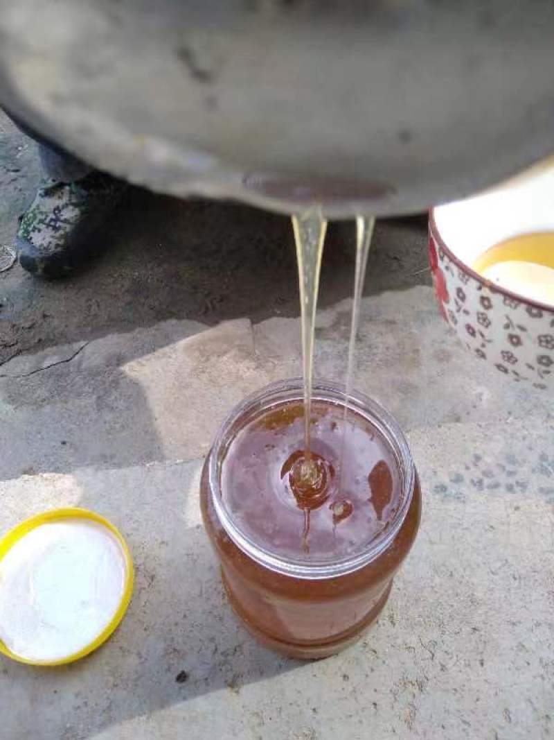 陕西土蜂蜜精品蜂蜜假一赔十诚信经营视频看货