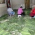 苇叶天然苇叶现摘现发产地直供一手货源欢迎咨询