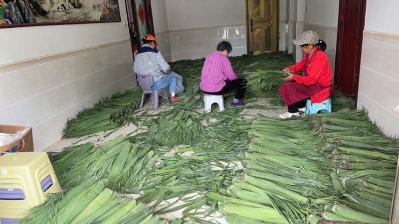 苇叶天然苇叶现摘现发产地直供一手货源欢迎咨询