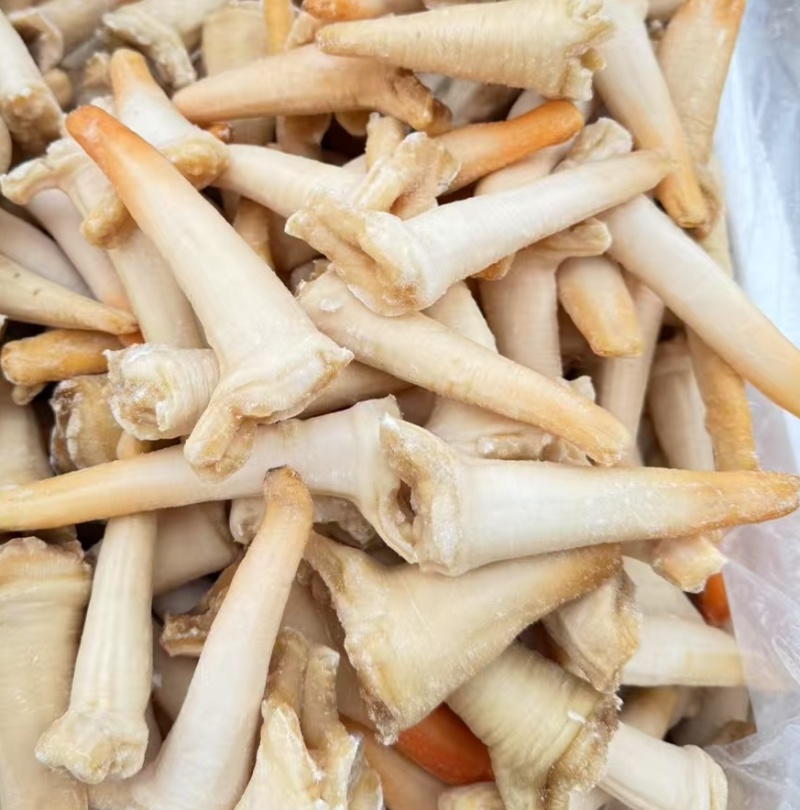 象拔蚌，单冻象拔蚌，海笋贝