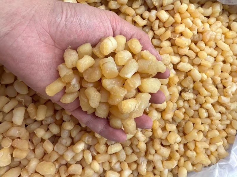 大连特产新鲜瑶柱干贝海鲜特级扇贝煲汤元贝海产品干货商
