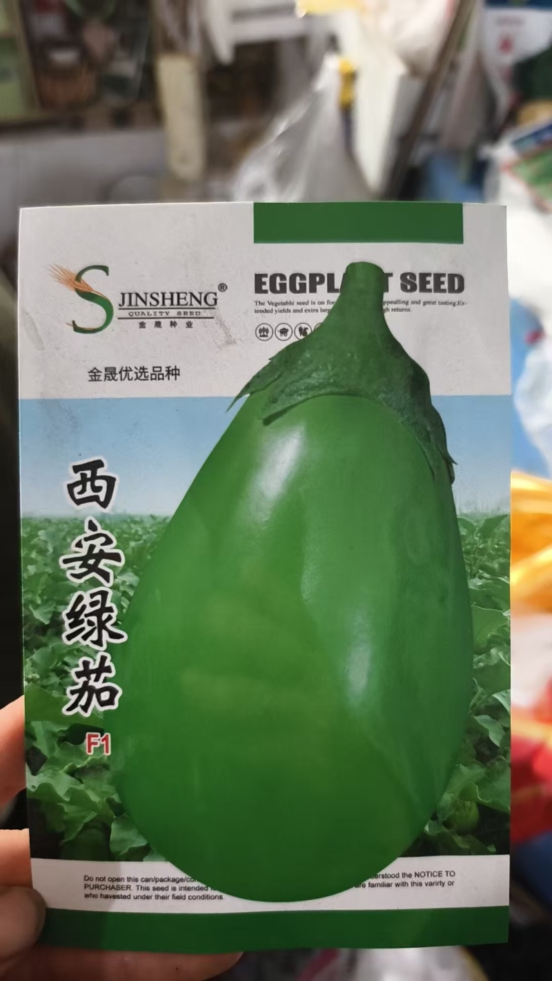 【推荐】精品嫁接黑圆茄苗茄苗抗病能力强产量高