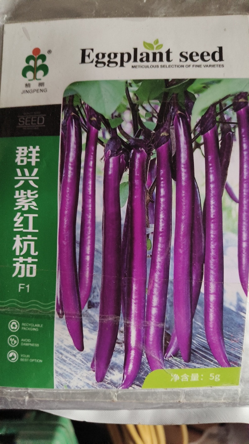 【推荐】精品嫁接黑圆茄苗茄苗抗病能力强产量高