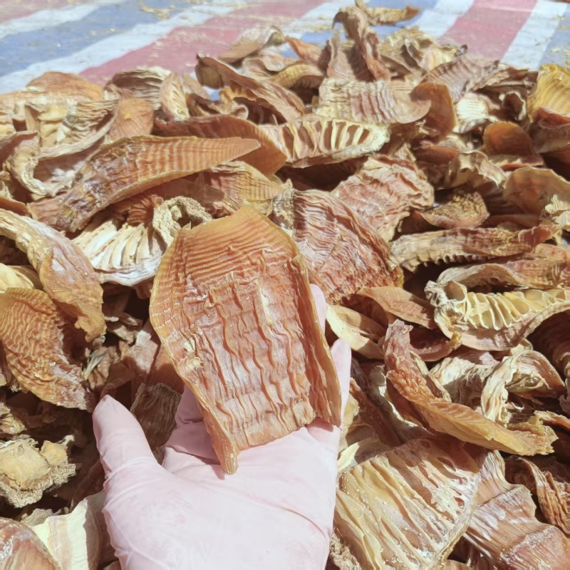 优质黄山笋尖