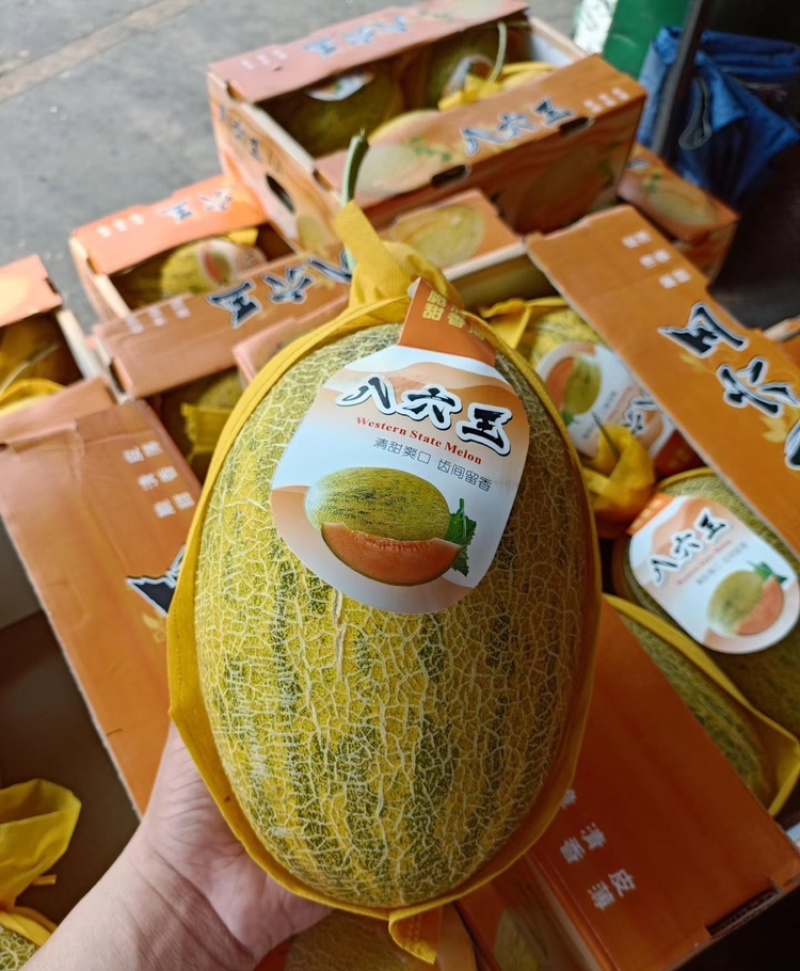 哈密瓜新疆八六王哈密瓜大量供应商超品质代发全国