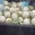 蜜露流星