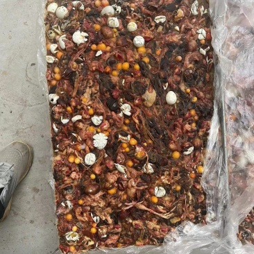 鹌鹑蛋肠，是宠物饲料，肉狗，狐狸，耗子的高价值饲料