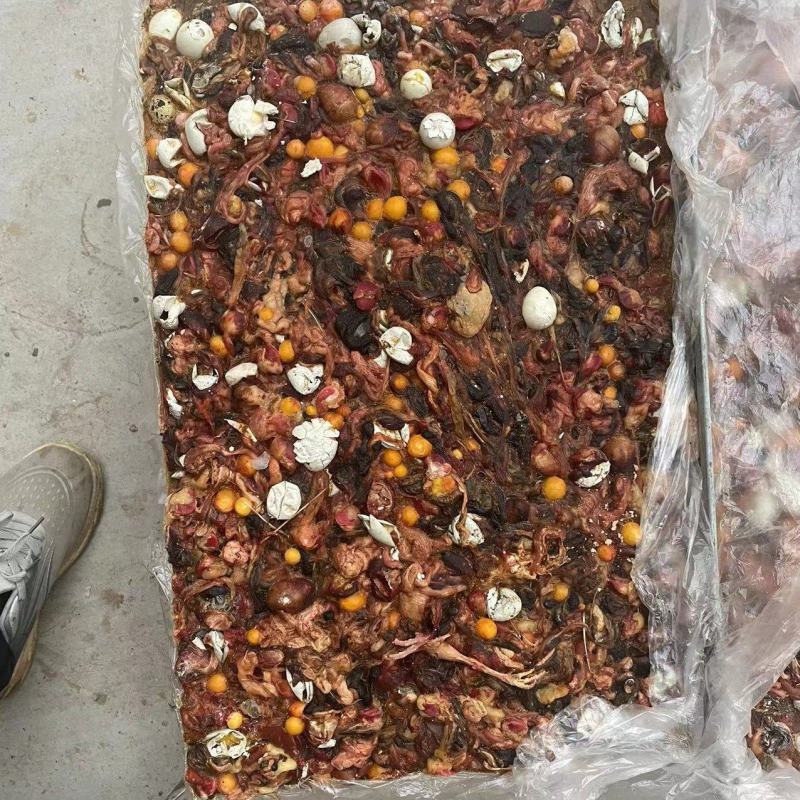 鹌鹑蛋肠，是宠物饲料，肉狗，狐狸，耗子的高价值饲料