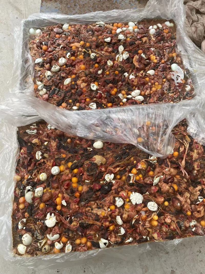 鹌鹑蛋肠，是宠物饲料，肉狗，狐狸，耗子的高价值饲料