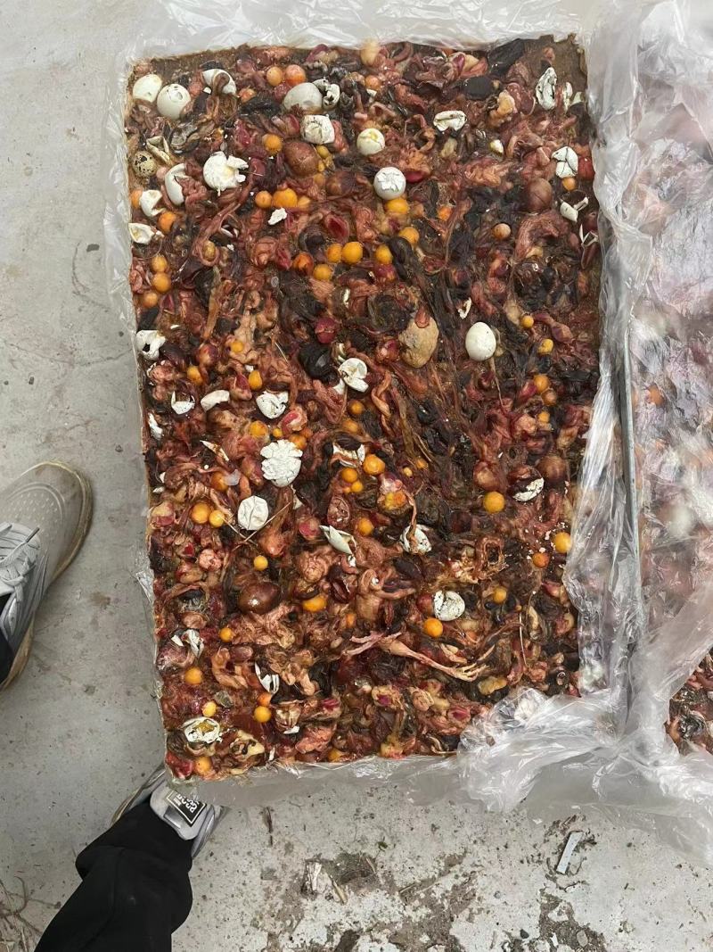 鹌鹑蛋肠，是宠物饲料，肉狗，狐狸，耗子的高价值饲料