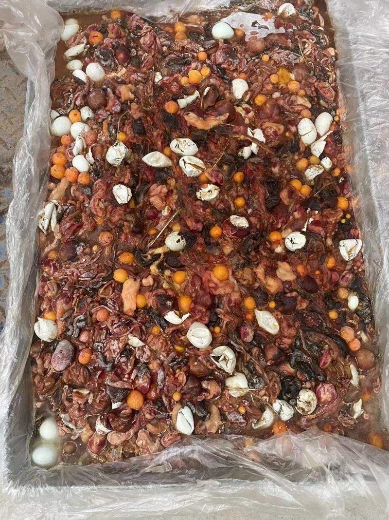 鹌鹑蛋肠，是宠物饲料，肉狗，狐狸，耗子的高价值饲料